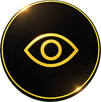 Vision