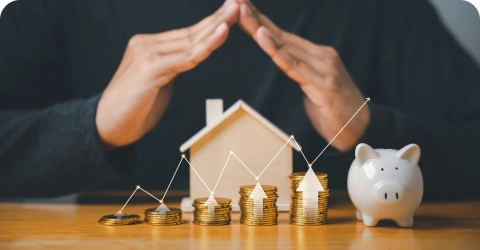 safe and investor friendly market